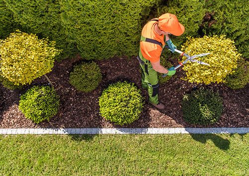 Unser Service für Garten und Landschaftsbau in Gütersloh Stefan